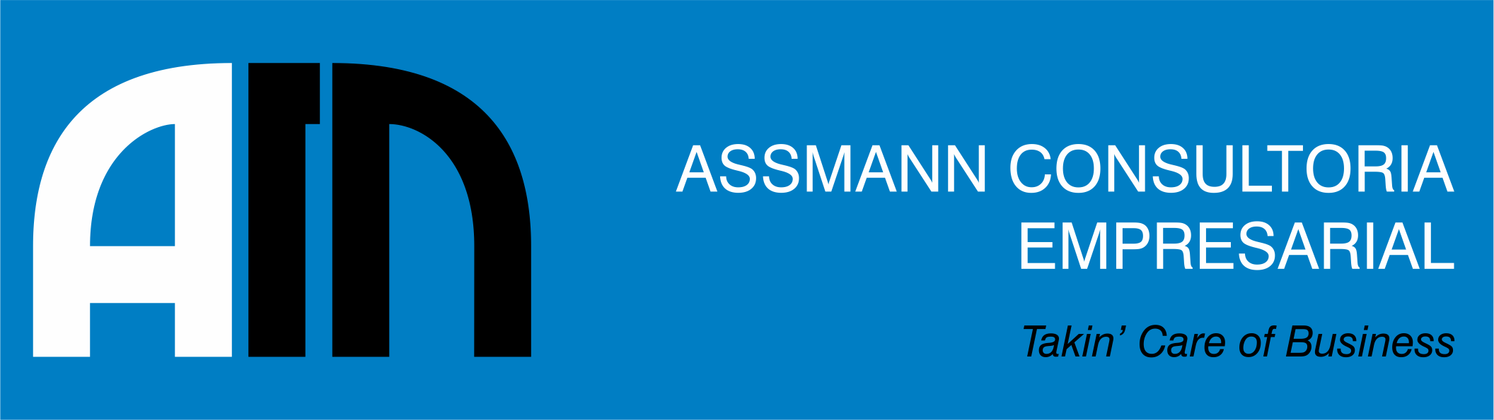 Assmann Consultoria